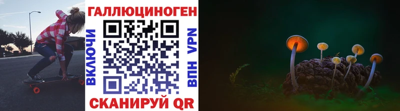 где купить наркоту Ишимбай Псилоцибиновые грибы Cubensis